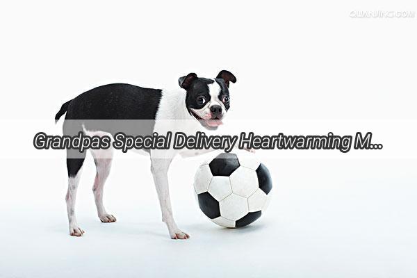 Grandpas Special Delivery Heartwarming Meals for Mans Best Friend